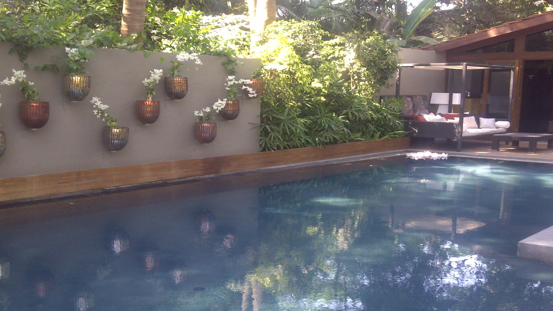 Rooftop pool with lounge